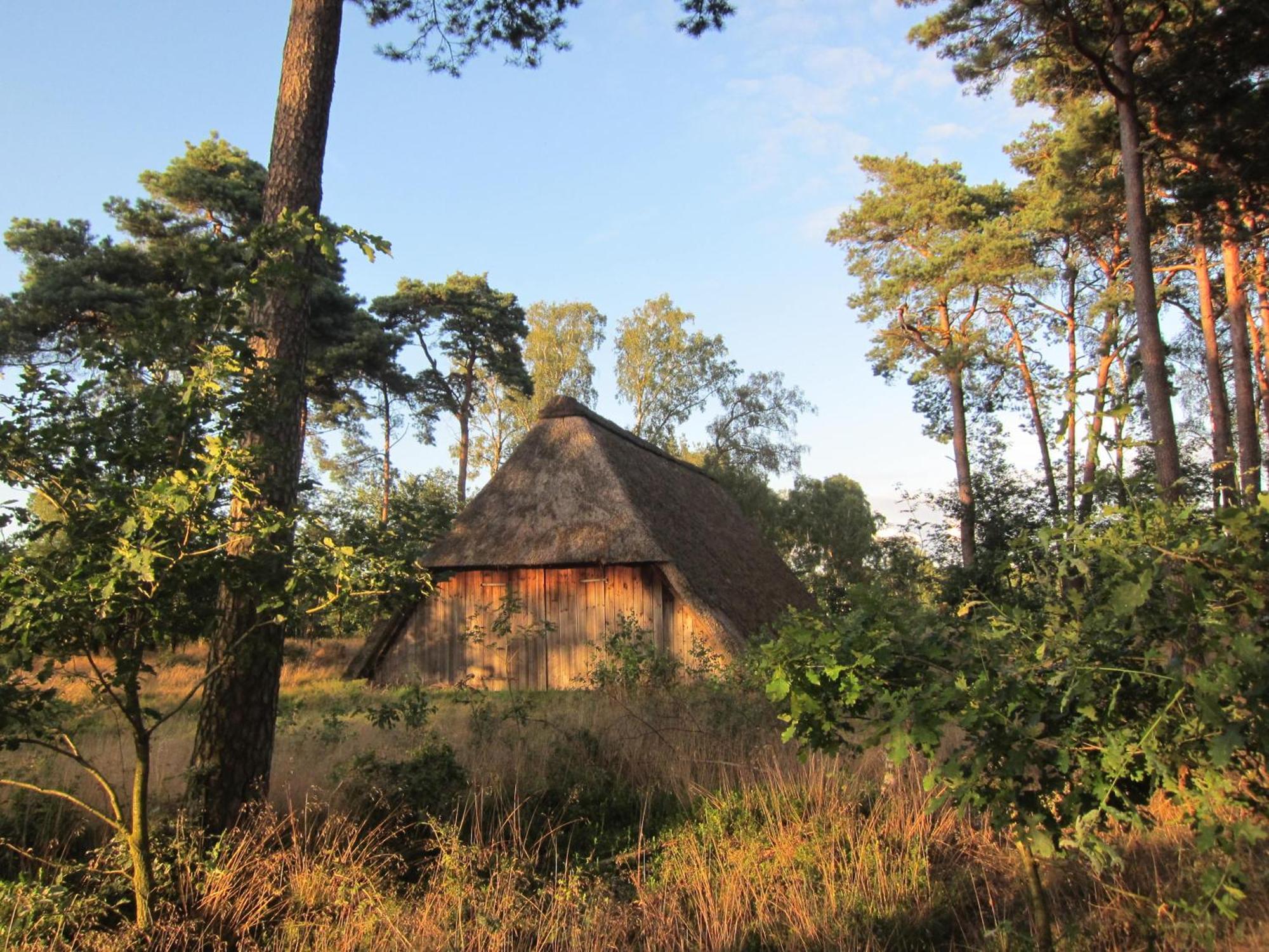 Bed and Breakfast Haus Heidetal Bispingen Esterno foto