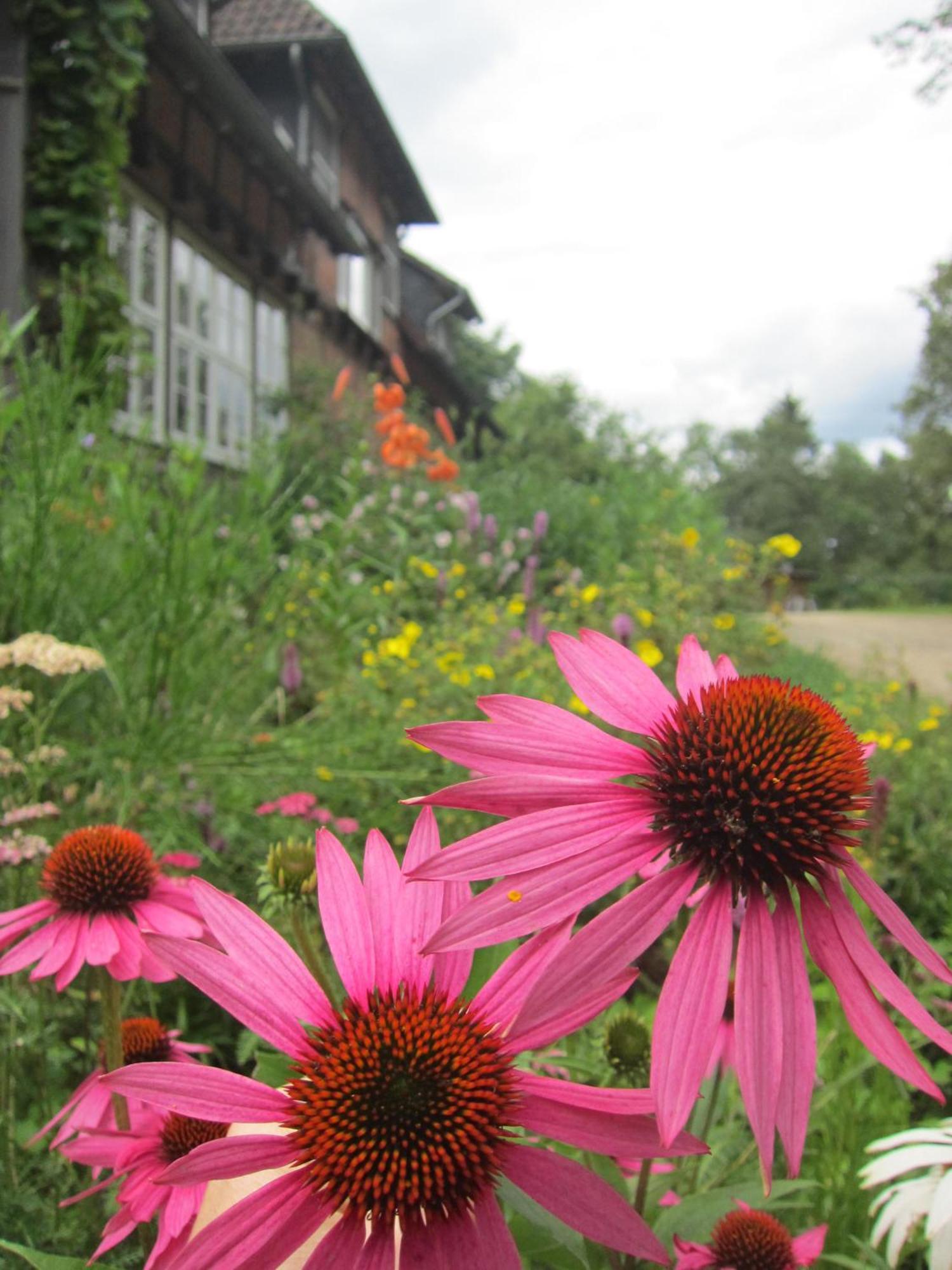 Bed and Breakfast Haus Heidetal Bispingen Esterno foto