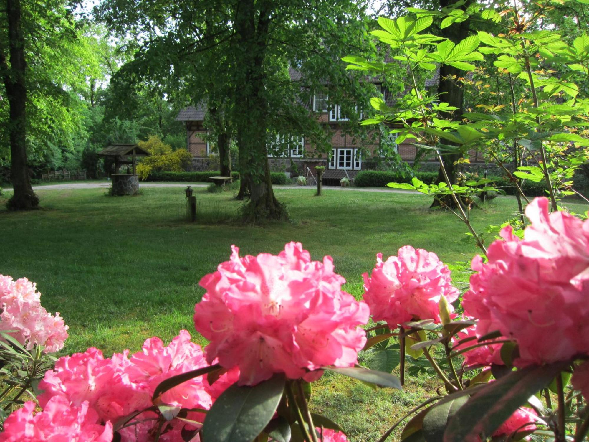 Bed and Breakfast Haus Heidetal Bispingen Esterno foto