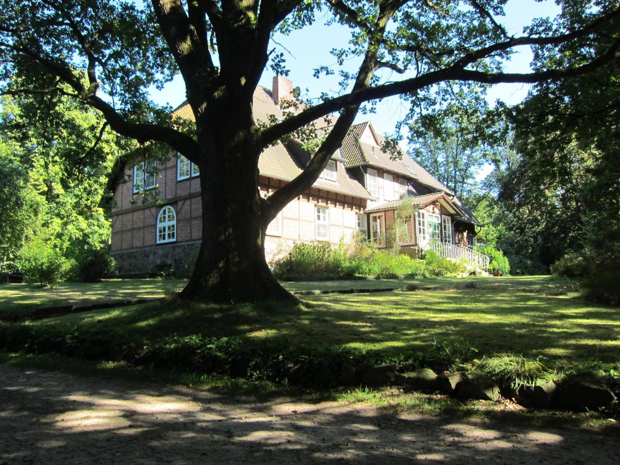 Bed and Breakfast Haus Heidetal Bispingen Esterno foto
