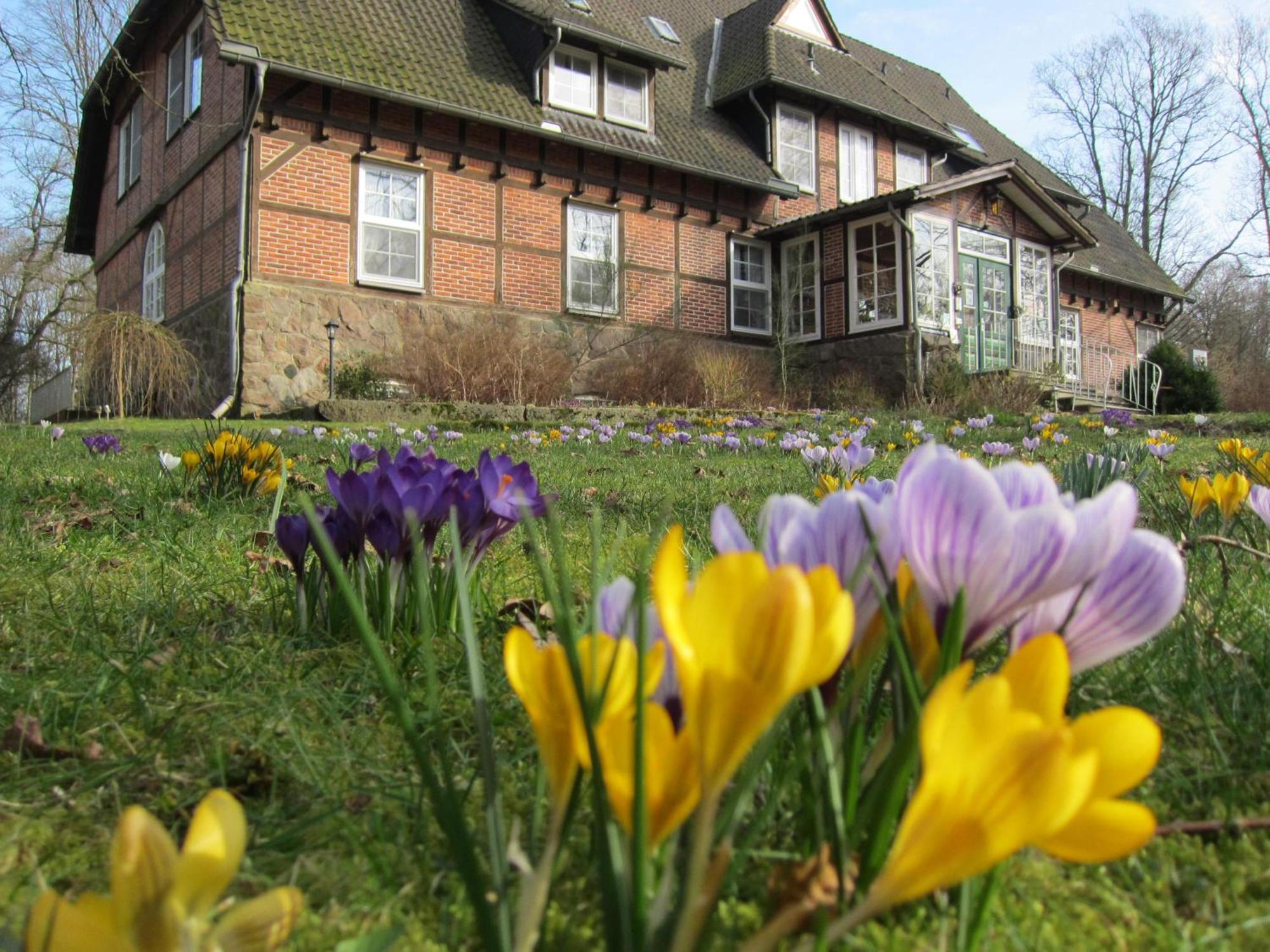 Bed and Breakfast Haus Heidetal Bispingen Esterno foto